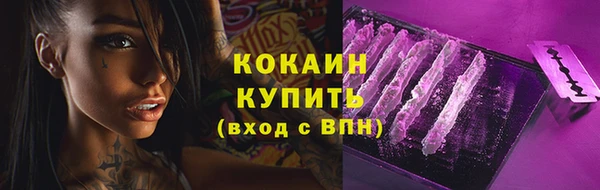 СК Куйбышев