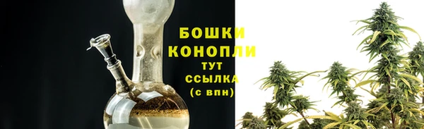 гашик Кулебаки