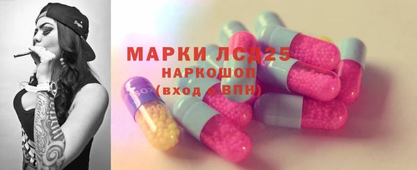 гашик Кулебаки