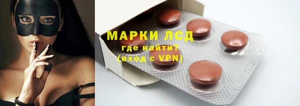 гашик Кулебаки