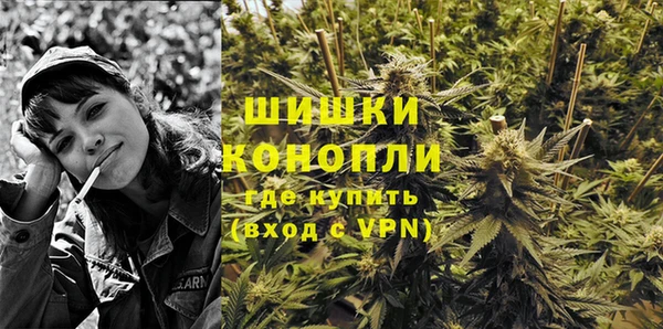 гашик Кулебаки