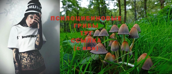 хмурый Кукмор