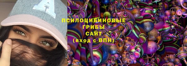 СК Куйбышев