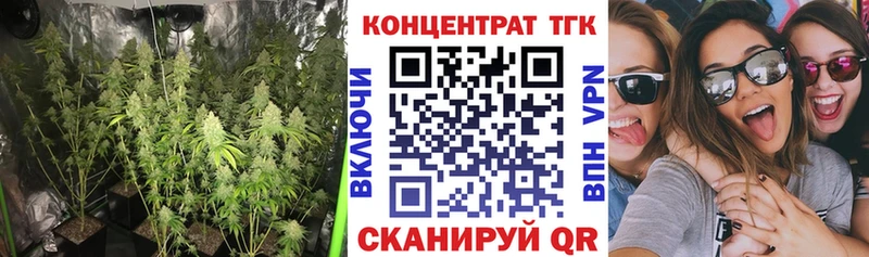 mega ссылка Монино ТГК жижа закладка