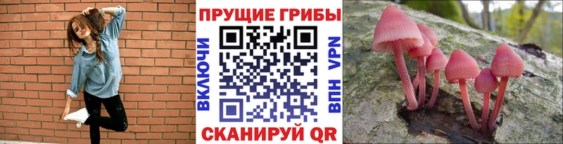 Галлюциногенные грибы Magic Shrooms Монино